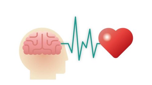 Psychokardiologie: Warum Dauerstress aufs Herz schlägt