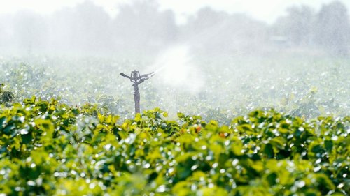 Zunehmende Dürren: Landwirte müssen vermehrt für Wasser zahlen