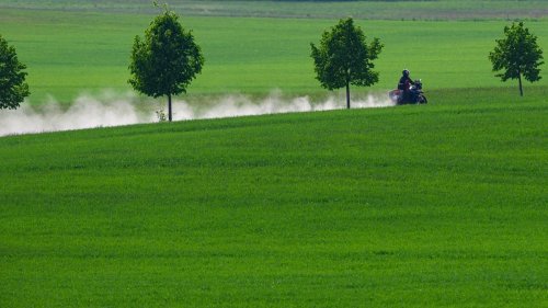 Verkehr: Weniger Motorräder in drei Ost-Ländern als im Bundesschnitt