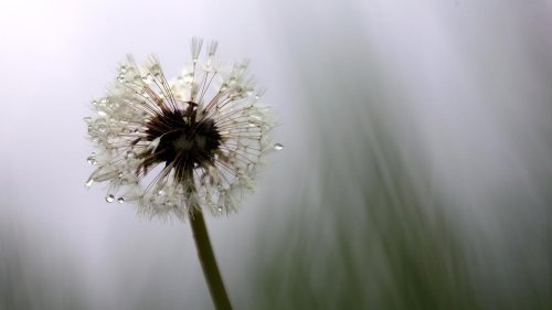 Wetter an Ostern: Wetterdienst prognostiziert Starkregen und Gewitter an Ostersonntag