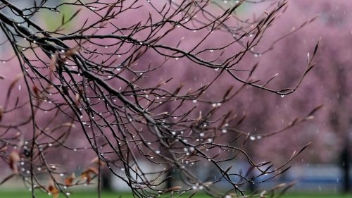 Wetter: DWD: Gewitter am Ostermontag