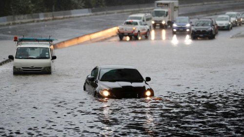 Notfälle: Neuer Starkregen in Neuseeland erwartet - Notstand im Norden