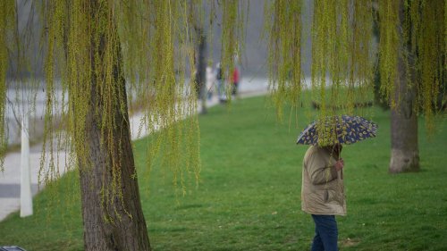 Wetter: Regen und Gewitter in Rheinland-Pfalz und Saarland