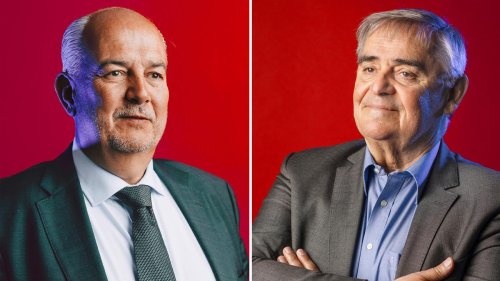 AfD-Verbot: Kann die AfD verboten werden?