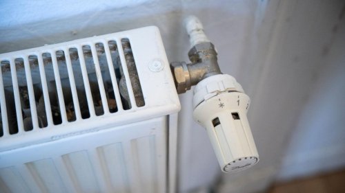 Energie: Söder auf Demonstration gegen Heizungsgesetz