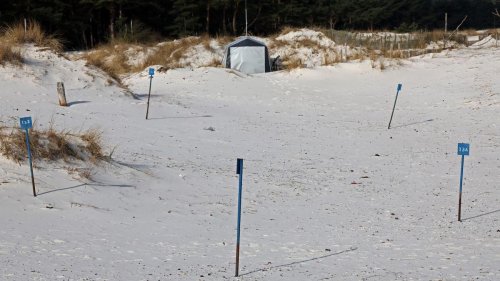 Zoff um Campingplatz: "Schlüsselübergabe" für Teilfläche im Regenbogen-Camp