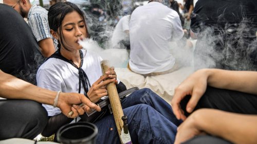 Cannabis in Thailand: Highland