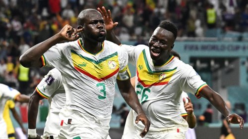 Fußball-WM 2022: Senegal und Niederlande ziehen ins Achtelfinale ein