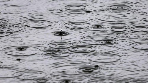 Wetter: Regen und Gewitter erwartet