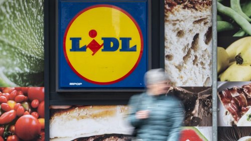 Einzelhandel: Lidl und Kaufland wachsen: Mehr Filialen, mehr Investitionen