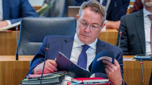 Sozialdemokraten: Schweitzer will stellvertretender SPD-Chef werden