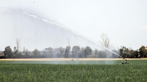 Brunnenbau: Trockenheiten schüren Nachfrage bei Brunnenbauern