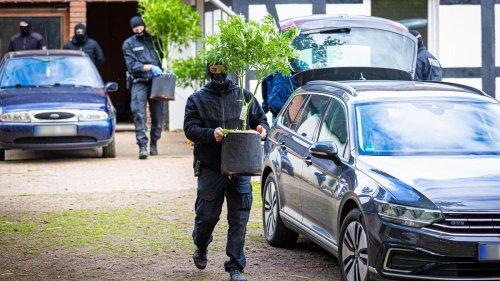 Nach Teillegalisierung: Cannabis-Straftaten gehen um mehr als die Hälfte zurück