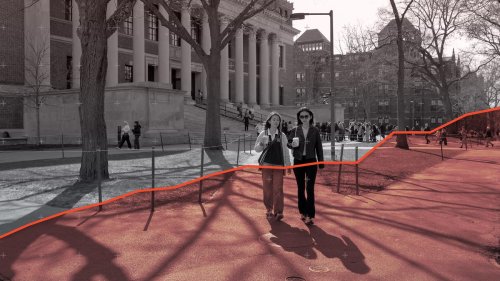 Ausländische Studierende: Harvard lässt sie nicht im Stich