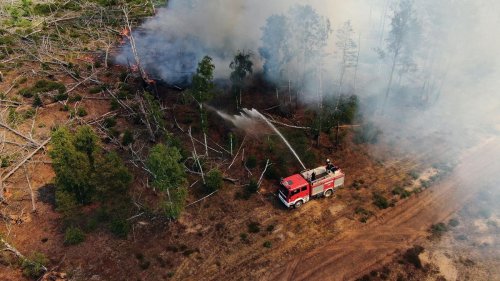 Brandenburg: Feuer bei Jüterbog: "Aktuell brennen acht Hektar Wald"