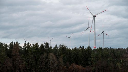 Erneuerbare Energien: Bis zu 22 neue Windräder in Staatsforsten auf dem Weg