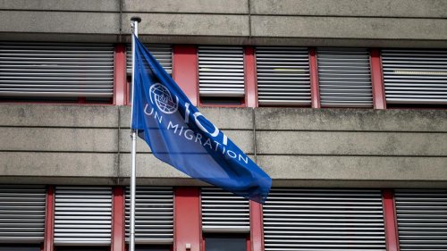 Kürzungen der USA: UN-Organisation für Migration kündigt umfassenden Stellenabbau an