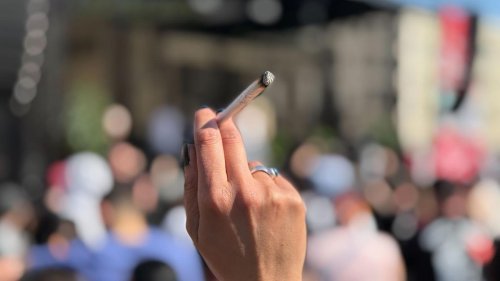 Seit der Legalisierung: Deutlich weniger Cannabis-Straftaten in Berlin