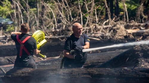 Feuer: Waldbrand im Taunus sorgt für "massiven Einsatz"