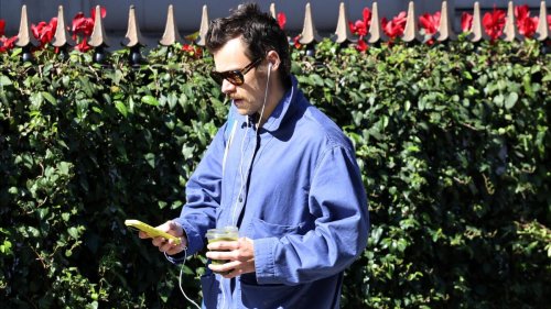 Harry Styles in Berlin: Ganz Berlin sucht Harry. Wir suchen mit