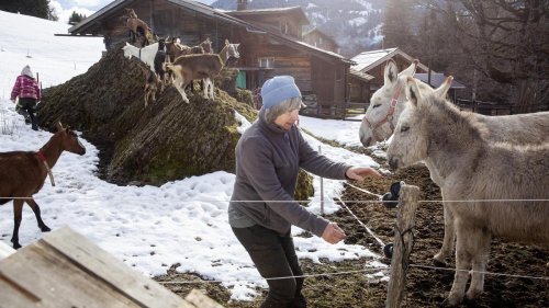 Tourismus in den Bergen: Der Luxus zieht ins Dorf