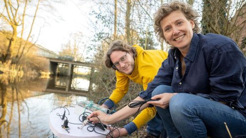 Wasserqualität: Aue im Fokus: Kann KI den belasteten Fluss retten?