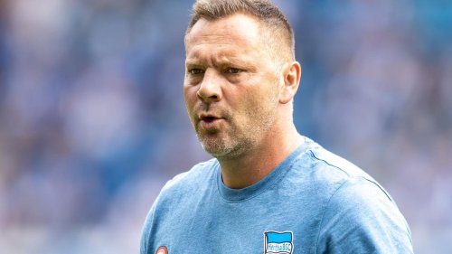 Bundesliga: "Lohnt sich zu arbeiten": Hertha-Trainer lobt Qualität