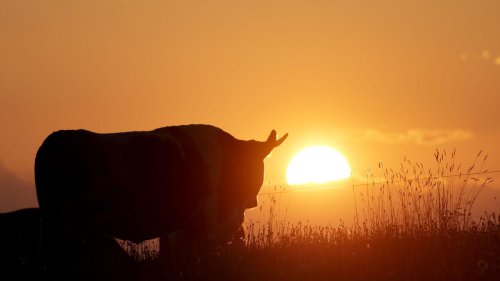 Wetter: Sonniger Wochenstart – Schauer und Gewitter folgen