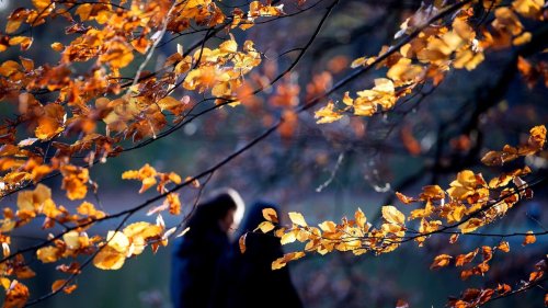 Wetter: Zweitwärmster Herbst in Sachsen-Anhalt: Viel Sonne und Regen