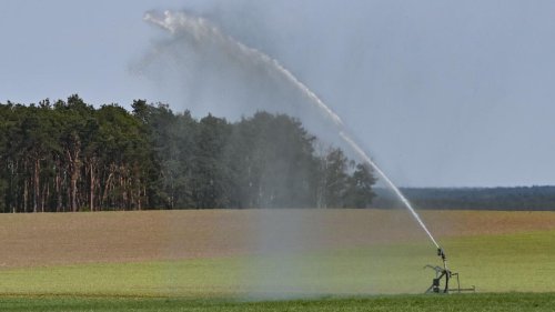 Trockenheit: Landwirte fordern mehr Wasser für Beregnung