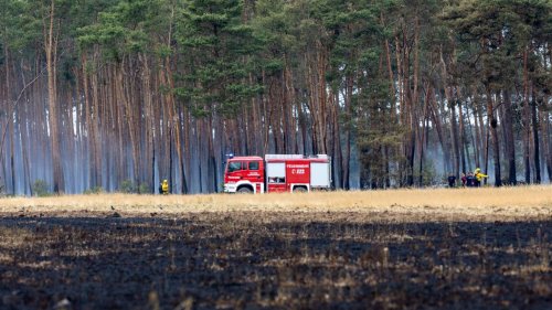 Natur: Waldbrand unter Kontrolle: Feuerwehr weiter im Großeinsatz