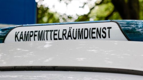 Kampfmittelfund: Erneut Granaten in Homburger Wald entdeckt