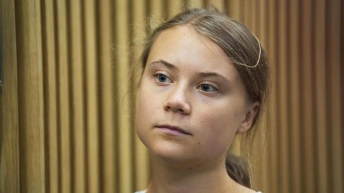 Klimaaktivistin: Greta Thunberg wirft Israel Völkermord vor
