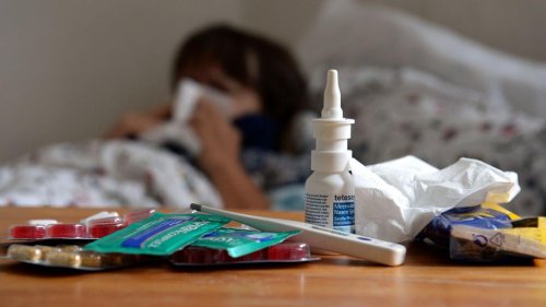 Gesundheit: Grippe im Norden wieder so häufig wie vor Corona