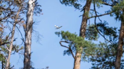 Gefahr für die Natur: Zum Start in den Mai: Sorge vor Waldbränden