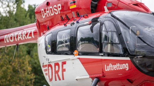 Oberbayern: 72-Jähriger bei Forstarbeiten tödlich verletzt