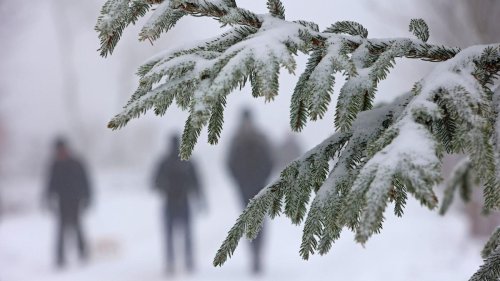 Freizeit: Ansturm von Wintersportlern im Harz am Wochenende