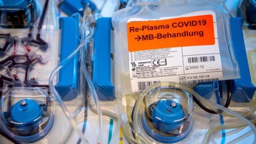 Coronavirus: WHO gegen Genesenen-Plasma als Covid-Therapie