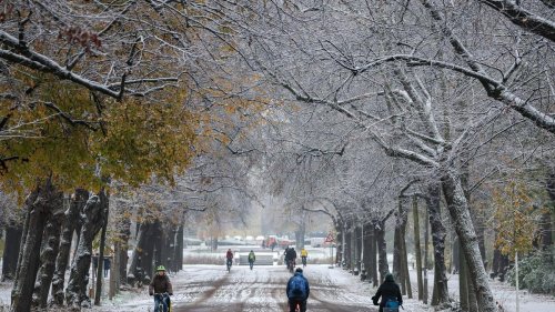 Schneefall: Wintereinbruch in Sachsen: Dichte Schneedecke in Leipzig