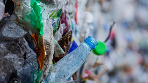 Plastik: Greenpeace warnt vor Gefahren durch Plastikrecycling