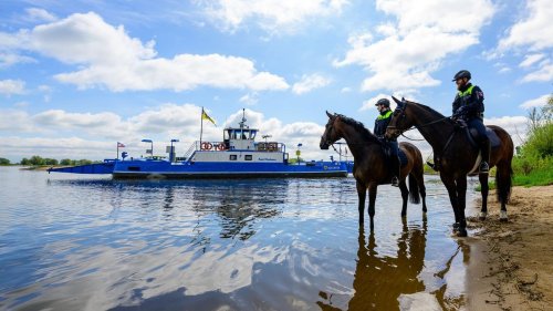 Bereits im vierzehnten Jahr: Polizeibeamte zu Pferd reiten wieder in der Elbtalaue