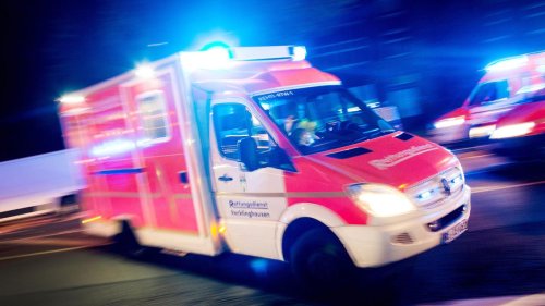 Unfall in Delbrück: Tierpark in Ostwestfalen: Tiger verletzt Mitarbeiterin