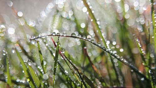 Wettervorhersage: Wolken und Regen am Wochenende