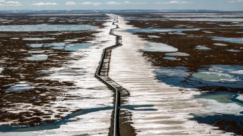 Willow Project in Alaska: Der Klimaschutzpräsident lässt bohren