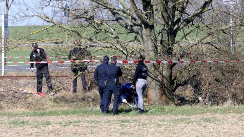 Sächsische Separatisten: Polizei sucht geheimes Waffenlager in Sachsen