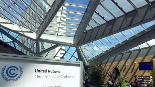Energie: Vor Klimakonferenz: Greenpeace fordert deutsches Tempolimit