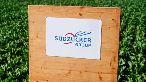 Zuckerproduzent: Südzucker kürzt Aktionären nach Gewinnrückgang Dividende