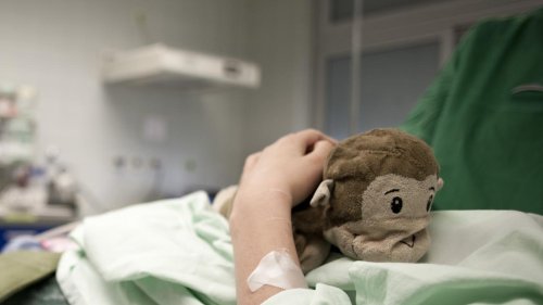 Pims-Erkrankung: Was hinter Pims-Erkrankungen steckt