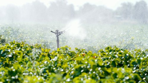 Agrar: Dürren: Landwirte müssen vermehrt für Wasser zahlen