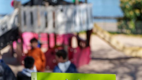 Kinder: Toben, lernen, wachsen: Wie steht es um Spielplätze im Land?